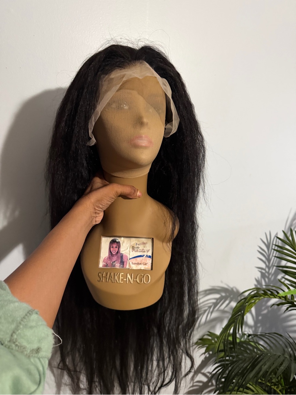 Shake-N-Go Long Natural Black Lace Front Wig - Smooth Style